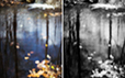 Autumn Reflection Diptych